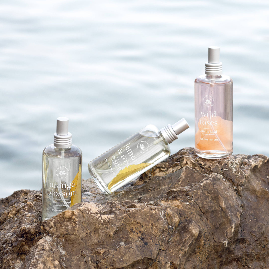 Jimmy Boyd Fragrance | Wild Rose | Good Deeds Market